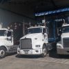 Transporte masivo
