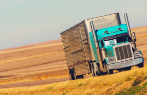 empresas-transportadoras-de-mercancia